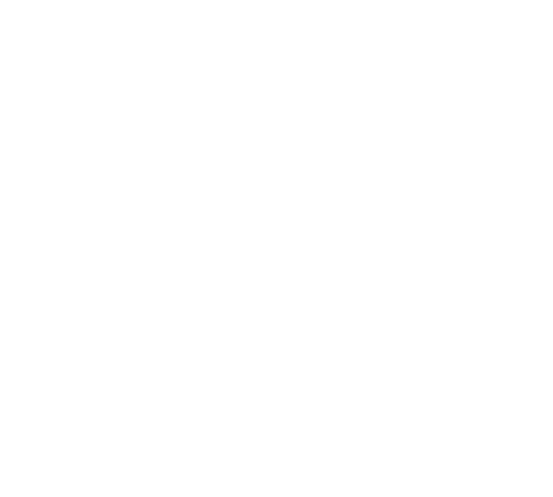 Portfolio Logo